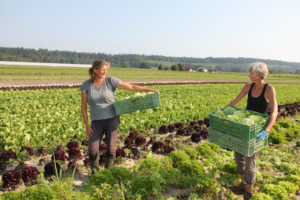 Frauen Landwirtschaft Acker