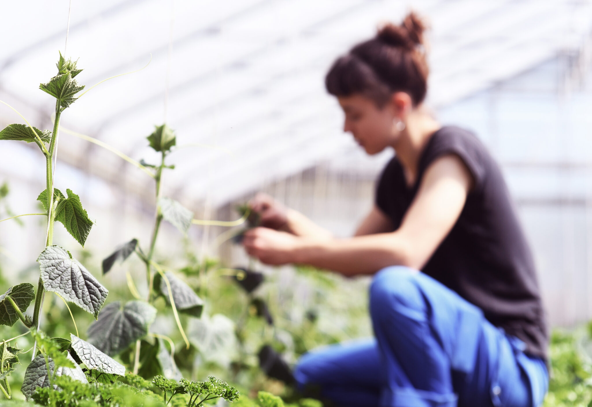 Frauen Landwirtschaft Scheidung